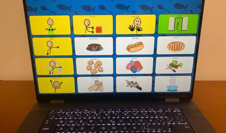 Communicator 5 Gold   Špeciálny program na hlasový výstup  Dotyková komunikačná ...