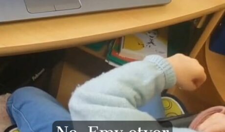 Emka a TD PCEye  Look to Learn program  Aktivita farma a zvieratká  Moderné high...