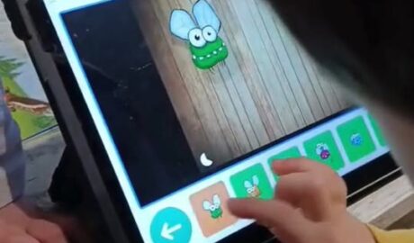 Grid 3  autizmus  aktivita lietajúci hmyz  výzva nájdi správnu farbu  nácvik poz...